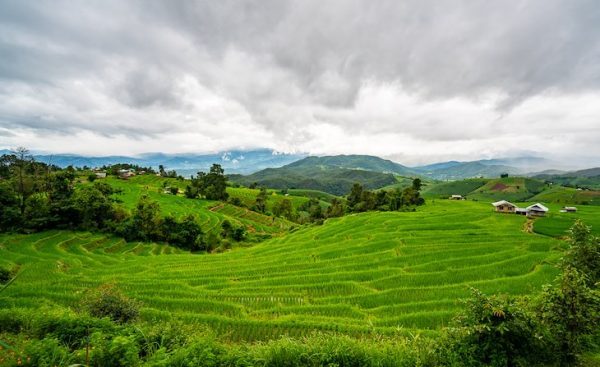 Paisajes de Tailandia campos de arroz
